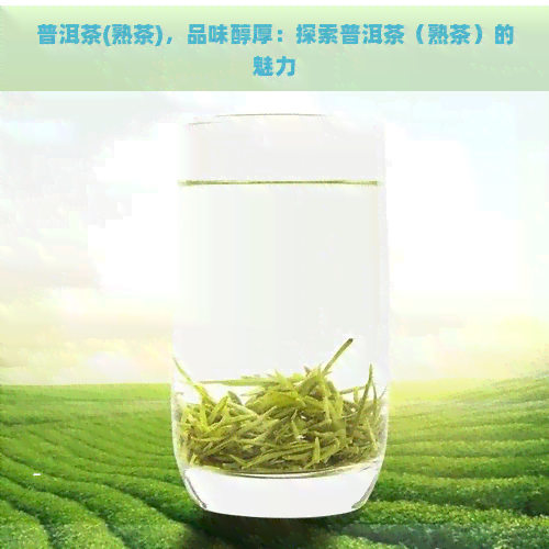 普洱茶(熟茶)，品味醇厚：探索普洱茶（熟茶）的魅力