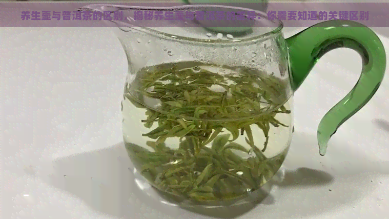 养生壶与普洱茶的区别，揭秘养生壶与普洱茶的差异：你需要知道的关键区别