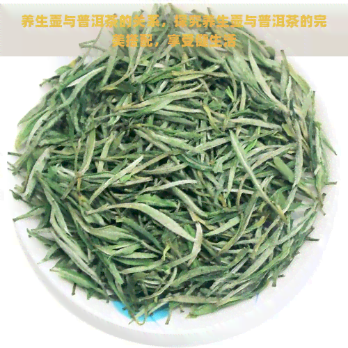 养生壶与普洱茶的关系，探究养生壶与普洱茶的完美搭配，享受健生活