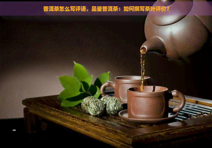 普洱茶怎么写评语，品鉴普洱茶：如何撰写茶叶评价？