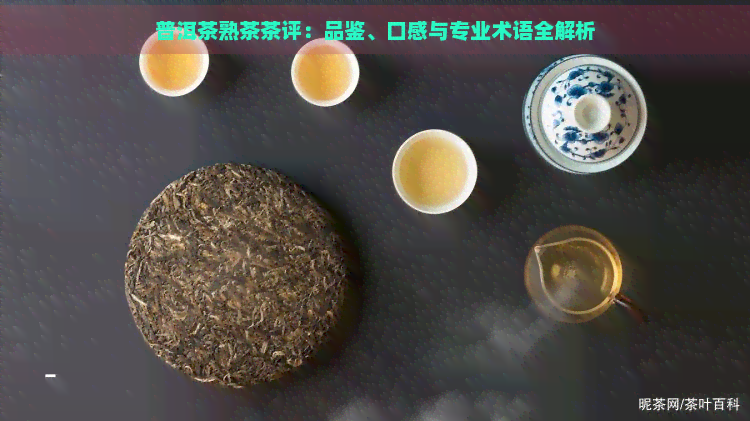 普洱茶熟茶茶评：品鉴、口感与专业术语全解析