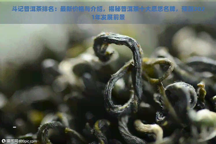 斗记普洱茶排名：最新价格与介绍，揭秘普洱茶十大忽悠名牌，预测2021年发展前景