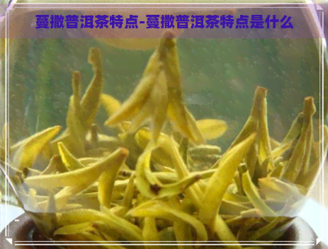 蔓撒普洱茶特点-蔓撒普洱茶特点是什么