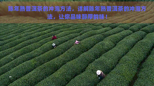 陈年熟普洱茶的冲泡方法，详解陈年熟普洱茶的冲泡方法，让你品味醇厚韵味！