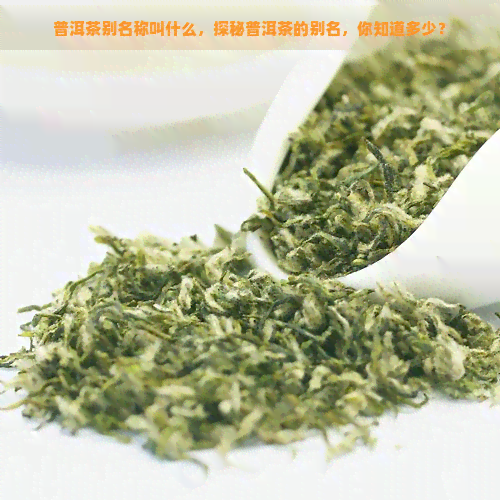 普洱茶别名称叫什么，探秘普洱茶的别名，你知道多少？