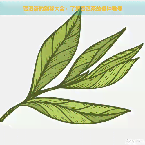 普洱茶的别称大全：了解普洱茶的各种雅号