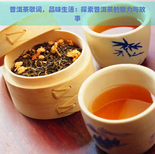 普洱茶歌词，品味生活：探索普洱茶的魅力与故事