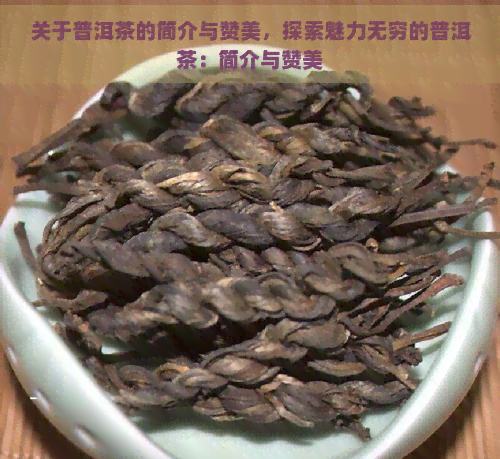 关于普洱茶的简介与赞美，探索魅力无穷的普洱茶：简介与赞美