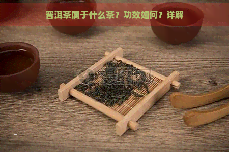 普洱茶属于什么茶？功效如何？详解