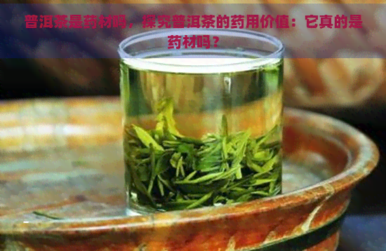 普洱茶是药材吗，探究普洱茶的药用价值：它真的是药材吗？