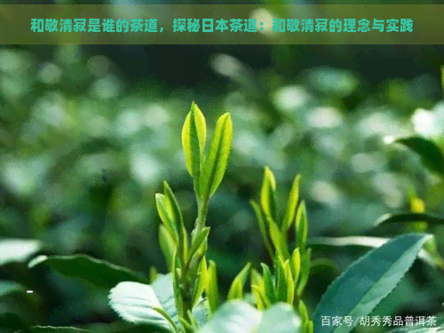 和敬清寂是谁的茶道，探秘茶道：和敬清寂的理念与实践