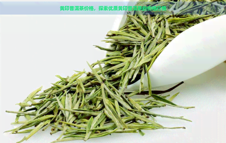 黄印普洱茶价格，探索优质黄印普洱茶的价格行情