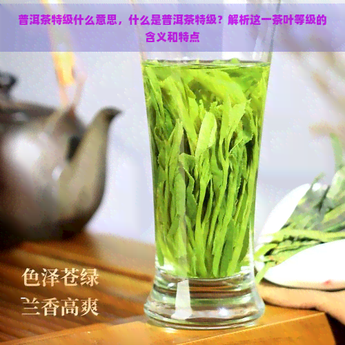 普洱茶特级什么意思，什么是普洱茶特级？解析这一茶叶等级的含义和特点