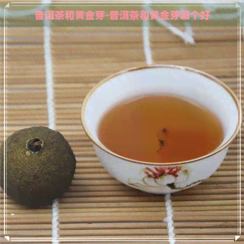 普洱茶和黄金芽-普洱茶和黄金芽哪个好