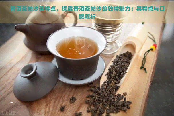 普洱茶帕沙茶特点，探索普洱茶帕沙的独特魅力：其特点与口感解析