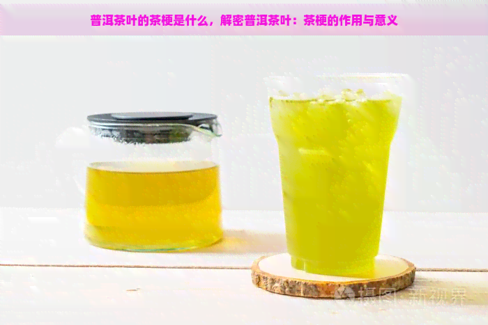 普洱茶叶的茶梗是什么，解密普洱茶叶：茶梗的作用与意义