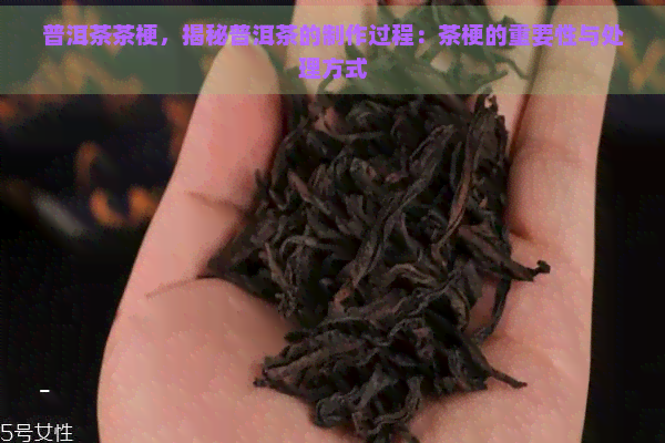 普洱茶茶梗，揭秘普洱茶的制作过程：茶梗的重要性与处理方式