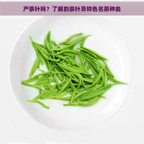 产茶叶吗？了解的茶叶及特色名茶种类