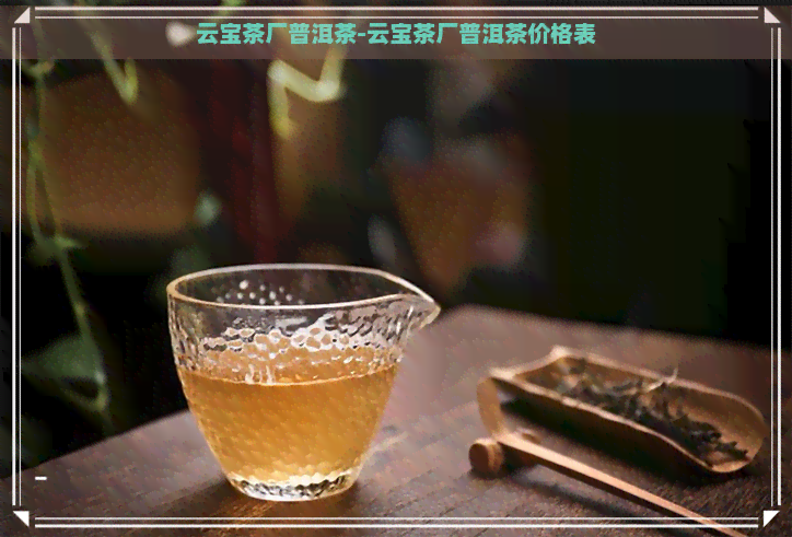 云宝茶厂普洱茶-云宝茶厂普洱茶价格表