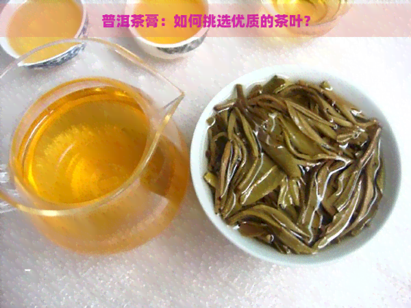 普洱茶膏：如何挑选优质的茶叶？