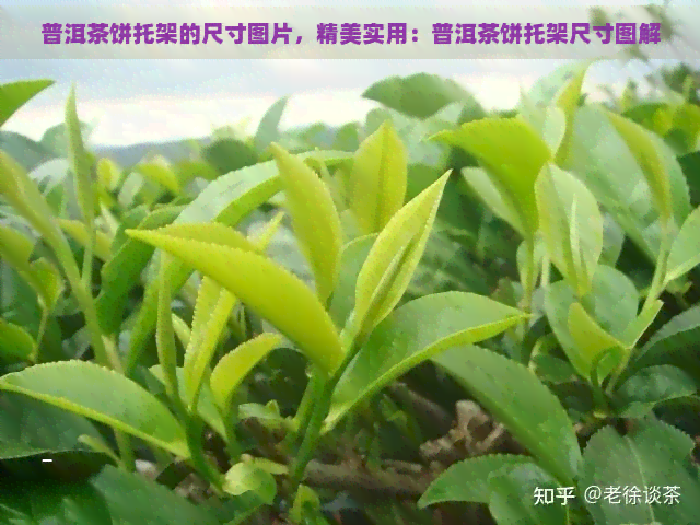 普洱茶饼托架的尺寸图片，精美实用：普洱茶饼托架尺寸图解