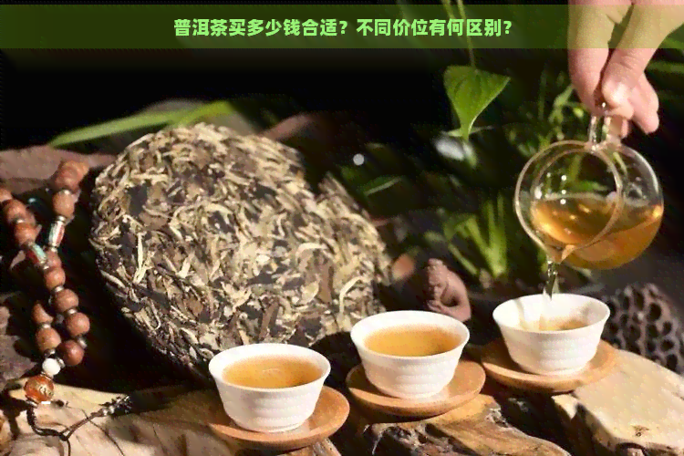 普洱茶买多少钱合适？不同价位有何区别？