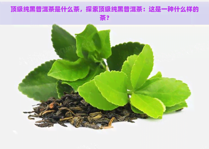 顶级纯黑普洱茶是什么茶，探索顶级纯黑普洱茶：这是一种什么样的茶？