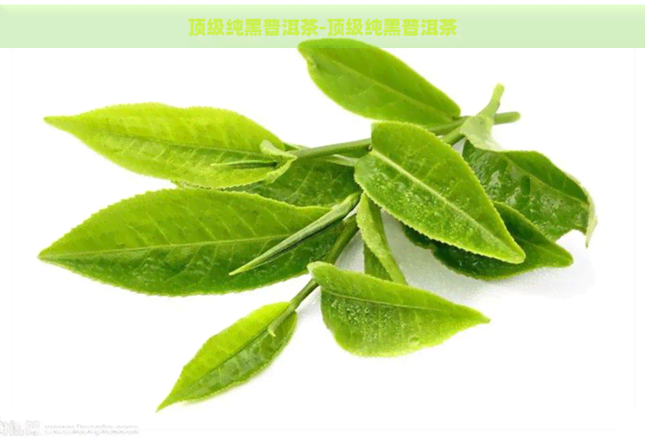 顶级纯黑普洱茶-顶级纯黑普洱茶