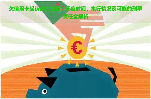 欠信用卡起诉多久立案？开庭时间、执行情况及可能的刑事责任全解析