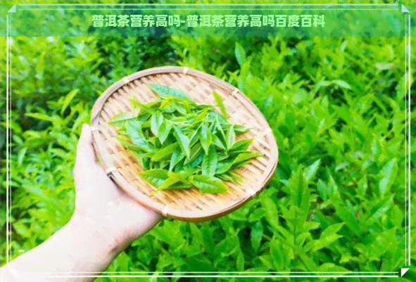 普洱茶营养高吗-普洱茶营养高吗百度百科