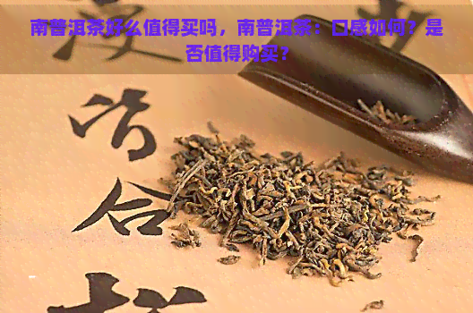 南普洱茶好么值得买吗，南普洱茶：口感如何？是否值得购买？