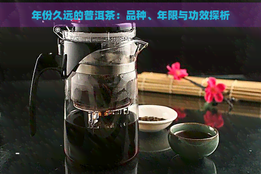 年份久远的普洱茶：品种、年限与功效探析