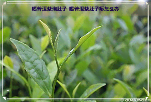 喝普洱茶泡肚子-喝普洱茶肚子疼怎么办