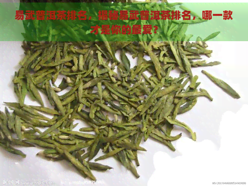 易武普洱茶排名，揭秘易武普洱茶排名，哪一款才是你的更爱？