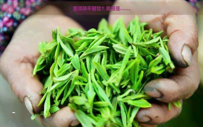 普洱茶不睡觉？真相是……