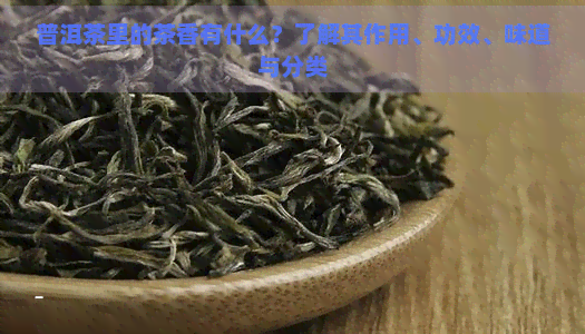 普洱茶里的茶香有什么？了解其作用、功效、味道与分类