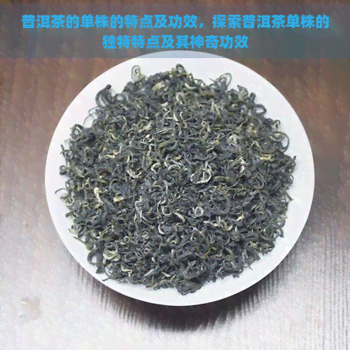 普洱茶的单株的特点及功效，探索普洱茶单株的独特特点及其神奇功效