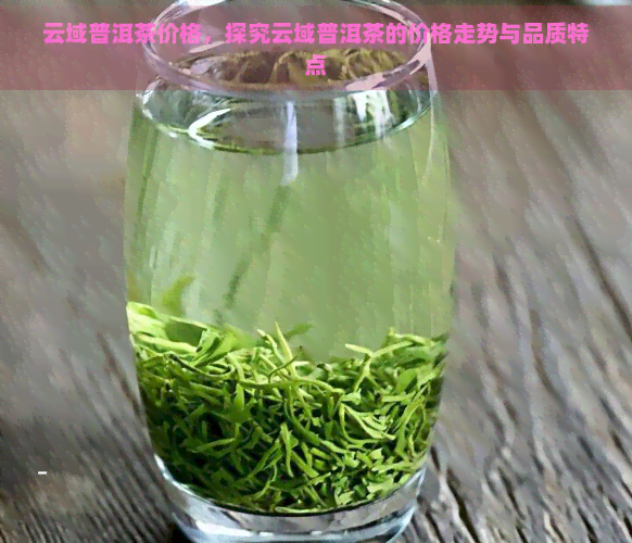 云域普洱茶价格，探究云域普洱茶的价格走势与品质特点