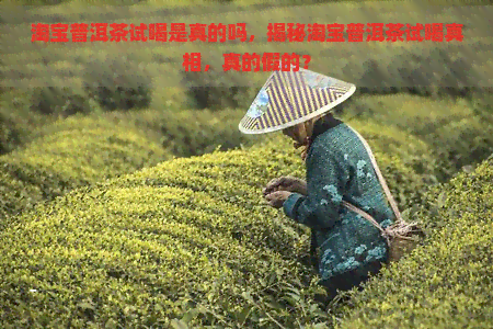 淘宝普洱茶试喝是真的吗，揭秘淘宝普洱茶试喝真相，真的假的？