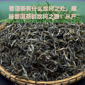 普洱茶有什么坎坷之处，揭秘普洱茶的坎坷之路：从产地到市场的挑战与机遇