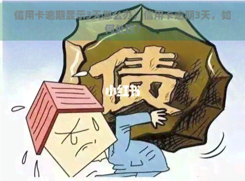 信用卡逾期显示3天怎么办，信用卡逾期3天，如何处理？