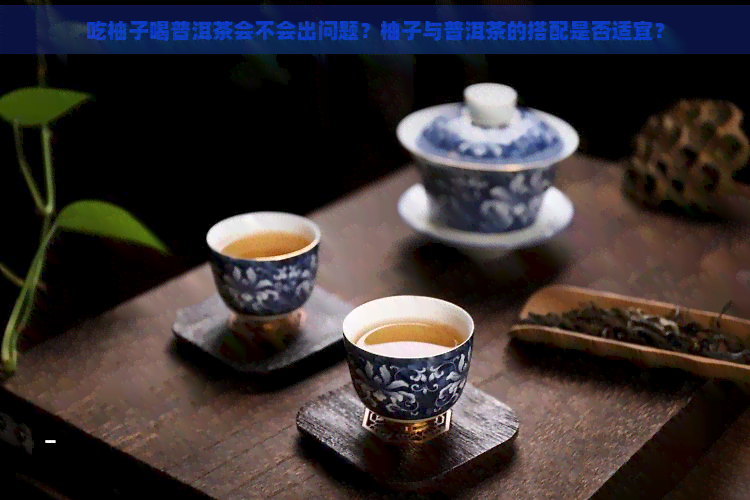 吃柚子喝普洱茶会不会出问题？柚子与普洱茶的搭配是否适宜？