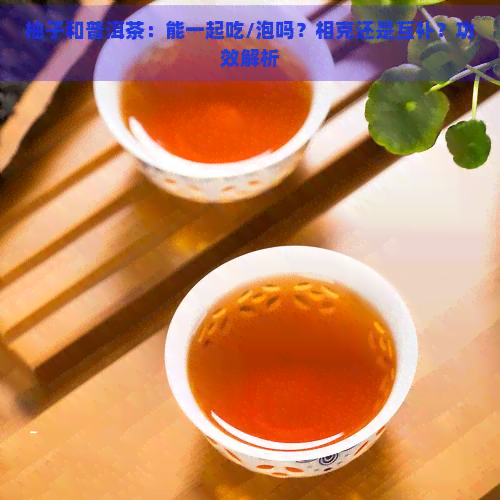 柚子和普洱茶：能一起吃/泡吗？相克还是互补？功效解析