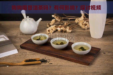 狗狗喝普洱茶吗？有何影响？探讨视频