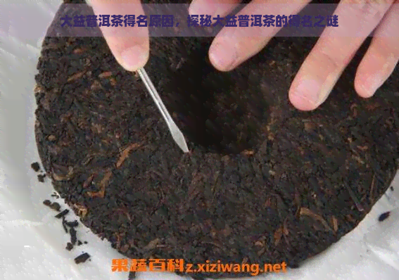 大益普洱茶得名原因，探秘大益普洱茶的得名之谜