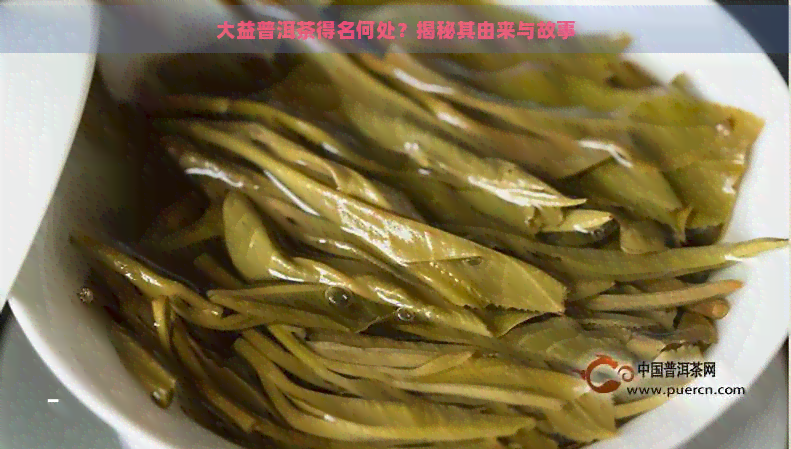 大益普洱茶得名何处？揭秘其由来与故事