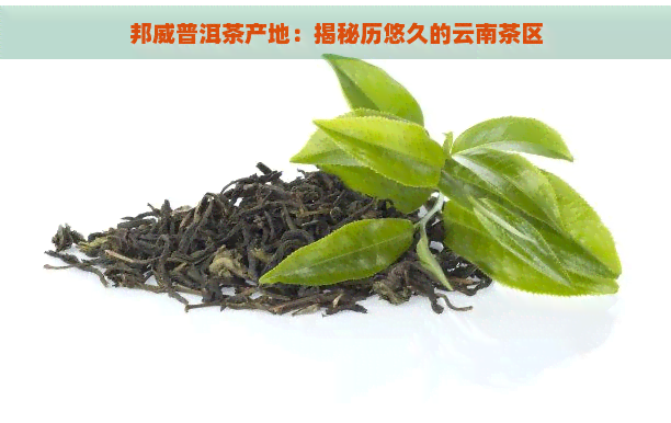 邦威普洱茶产地：揭秘历悠久的云南茶区