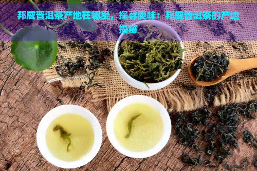 邦威普洱茶产地在哪里，探寻美味：邦威普洱茶的产地揭秘