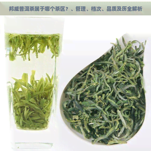 邦威普洱茶属于哪个茶区？、管理、档次、品质及历全解析