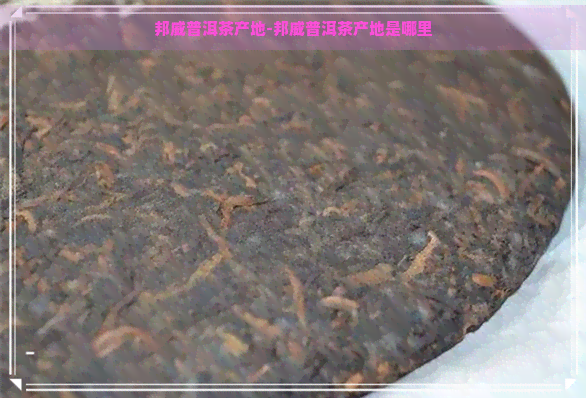 邦威普洱茶产地-邦威普洱茶产地是哪里